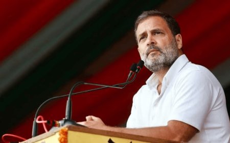 Avoid Remarks Like 'Pickpocket', 'Panauti': EC's Advisory To Rahul Gandhi Ahead Of Lok Sabha Polls