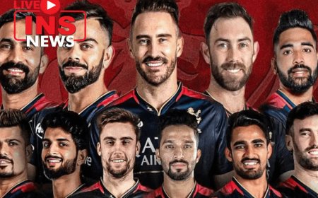 IPL 2024- RCB fan was deeply hurt by the team's disappointing performance in IPL 2024.