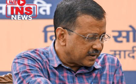 Arvind Kejriwal was today granted bail by the Supreme Court to campaign for the ongoing Lok Sabha elections.
