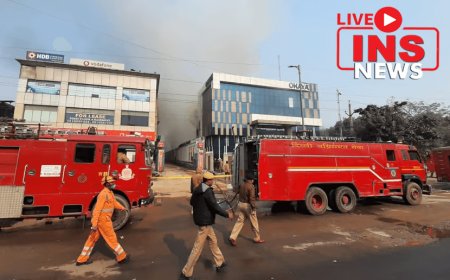 Severe heat in Delhi caused fire at 183 places in Delhi.