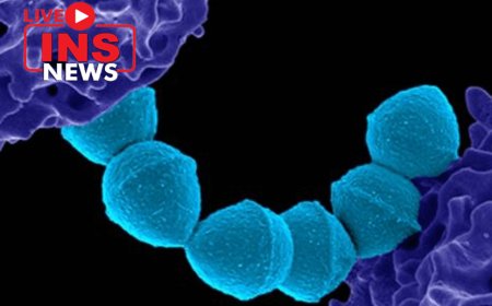 There is a stir in Japan due to a deadly disease caused by a bacteria.