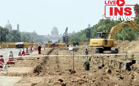 This time the heat in Delhi has made life like a poor man's! More than 53 people have died so far