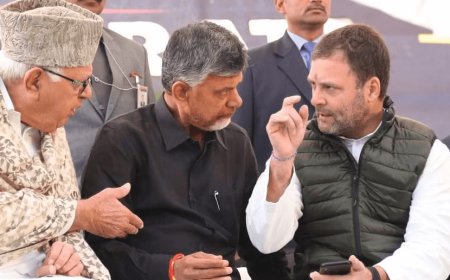 If you are from a lower caste but have money then people respect you - Chandrababu Naidu! Chandrababu Naidu supported Rahul Gandhi!