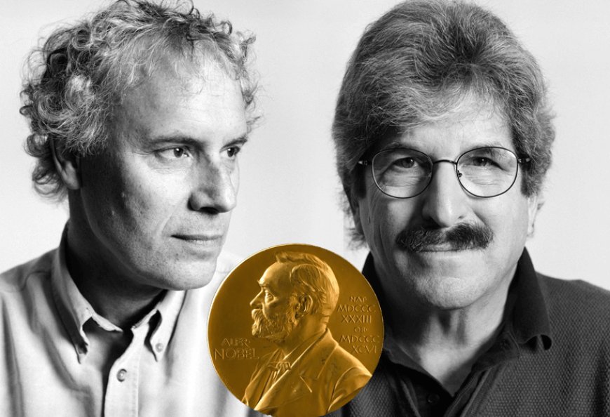 Victor Ambrose and Gary Ruvkun jointly awarded the Nobel Prize for Physiology of 2024