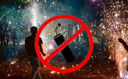 No religion says to burn firecrackers and spread pollution - Supreme Court 