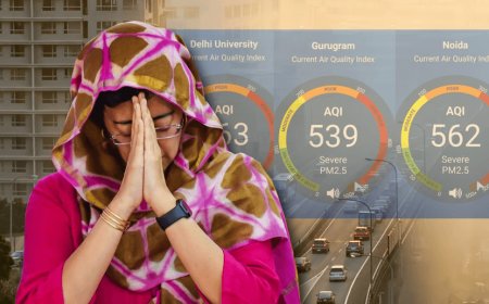 Like every year, Aam Aadmi Party started crying again! BJP ruled states accused of stubble burning 