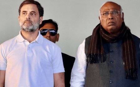 47 lakh new voters were added in 50 assemblies in Maharashtra in 4 months, out of which Mahayuti won 47 seats! Congress raised questions, reached Election Commission 