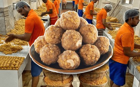 It is the government's job to check the quality of Prasad in the temple, Supreme Court refused to hear the case 