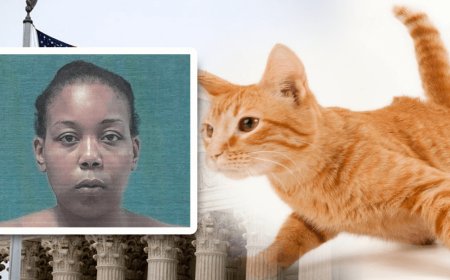 Alexis Farrell, a 27-year-old Ohio man, was sentenced by a judge when he grabbed a cat and ate it.