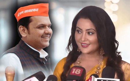Amruta Fadnavis is the wife of Maharashtra Chief Minister Devendra Fadnavis. And it's not romantic at all.