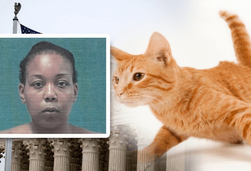 Alexis Farrell, a 27-year-old Ohio man, was sentenced by a judge when he grabbed a cat and ate it.