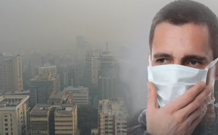 1 hour of pollution can impair brain function: Study