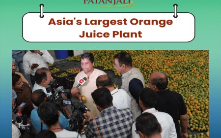 Baba Ramdev's company Patanjali Mega Food and Herbal Park is ready in Nagpur's MIHAN! 100% natural juice will be prepared