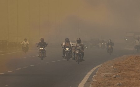 India is the fifth country in the world and Delhi is the most polluted capital of the world!