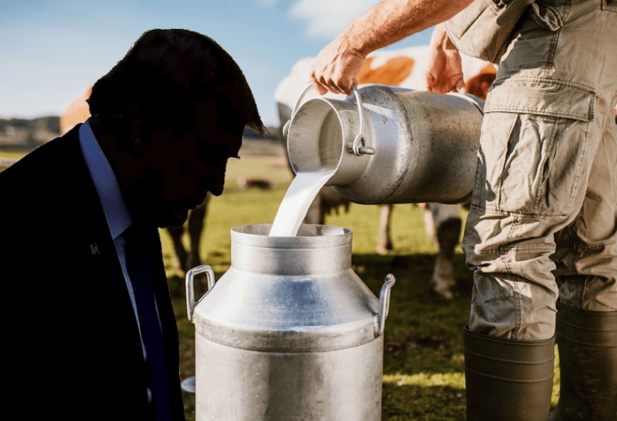 What is the matter of America's non-vegetarian cow milk? Why does America want to send non-vegetarian cow milk?