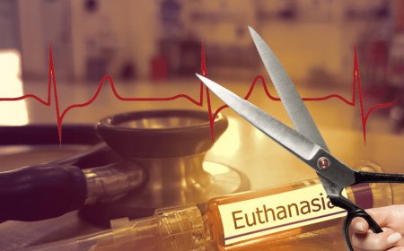 The Supreme Court will speak to Harish's parents before granting him euthanasia! 31-year-old Harish has been on a ventilator for 12 years.