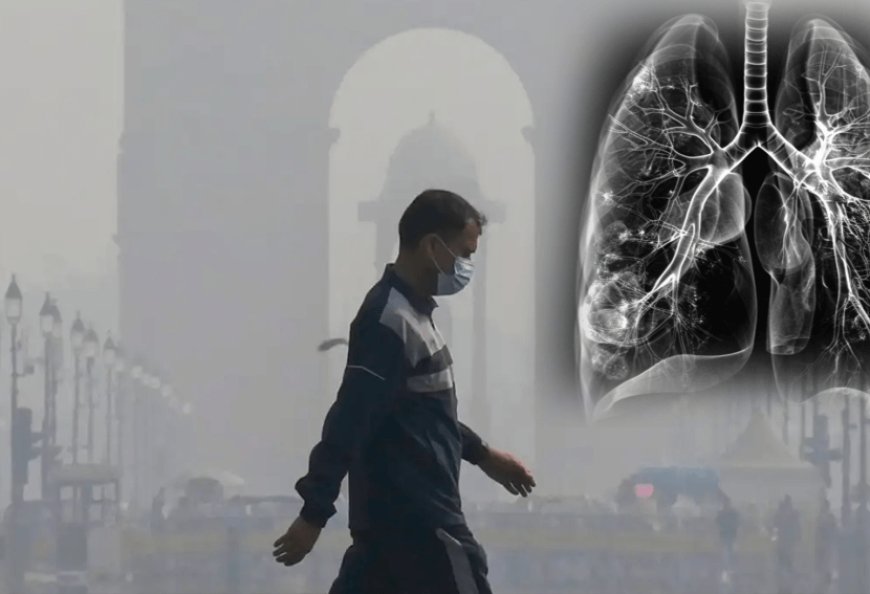 The Central Government said that we do not have any concrete data which establishes a link between pollution and lung disease