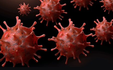 The world is once again in a state of panic over COVID-19! Now, all countries are warned about the new coronavirus variant, the "Cicada."