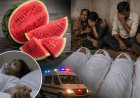 Shocking news: Four members of the same family died after eating watermelon, raising questions about this summer fruit.