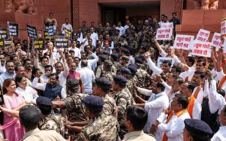 Makar Dwar of Parliament has become a battlefield! NDA-India MPs face off The political slugfest between Rahul Gandhi and Amit Shah.....